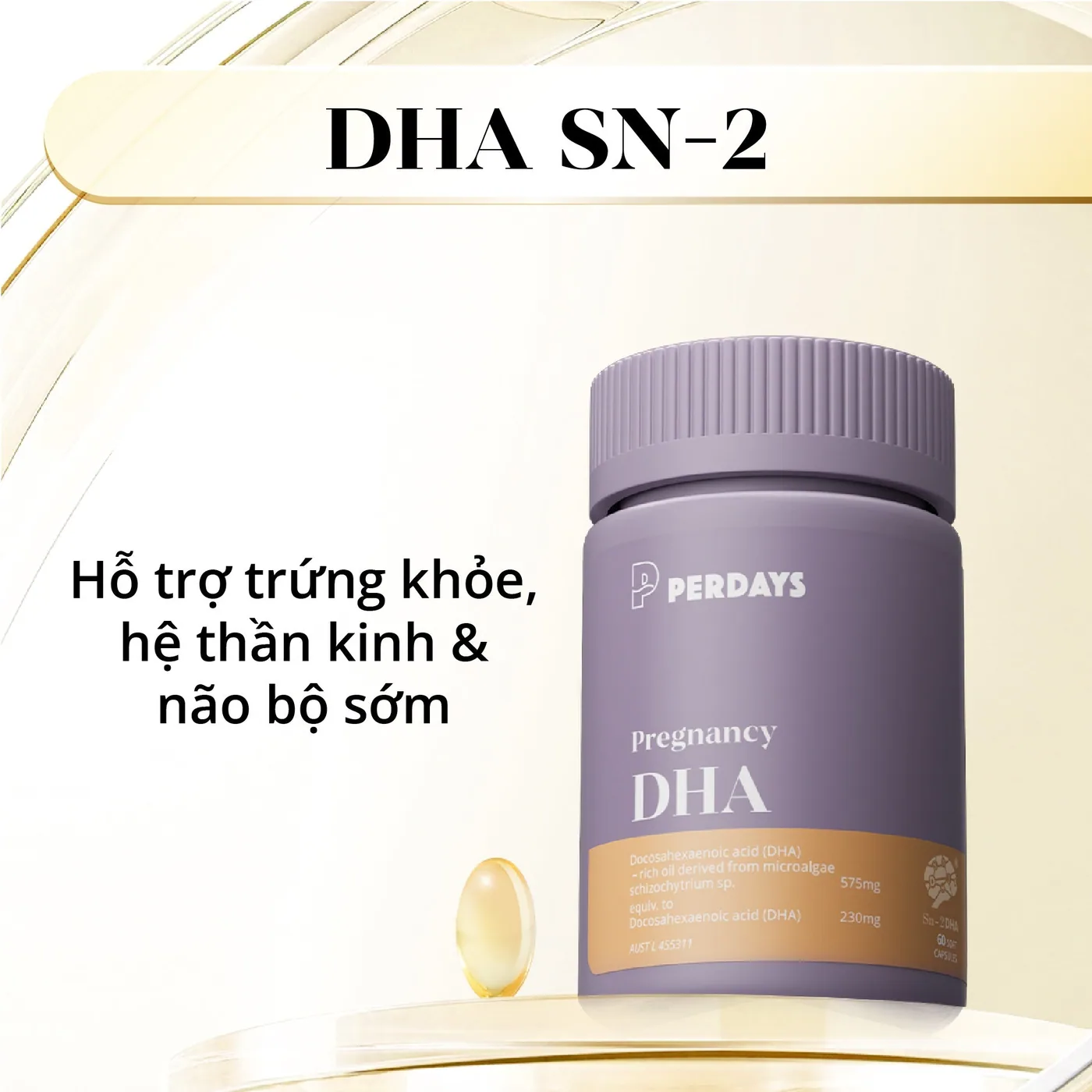 Phát triển trí não cho thai nhi: 80% mẹ bầu có thể đang thiếu DHA ngay từ giai đoạn đầu