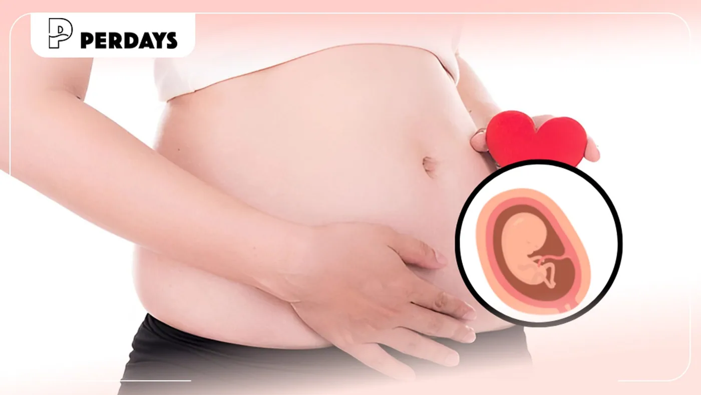 Thai 12 tuần đã ổn định chưa? Giải đáp chi tiết cho mẹ bầu