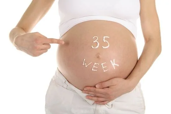 Thai nhi 35 tuần phát triển như thế nào, dấu hiệu chuyển dạ